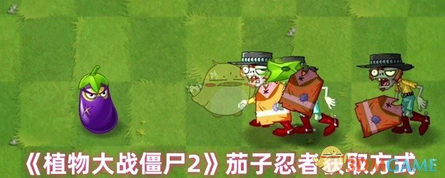茄子忍者获取方式