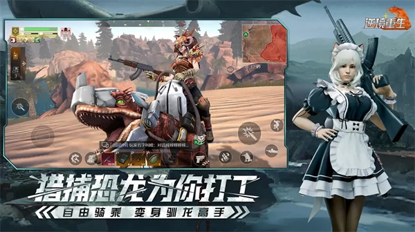 新手开荒采集指南