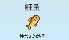 鲤鱼收集攻略