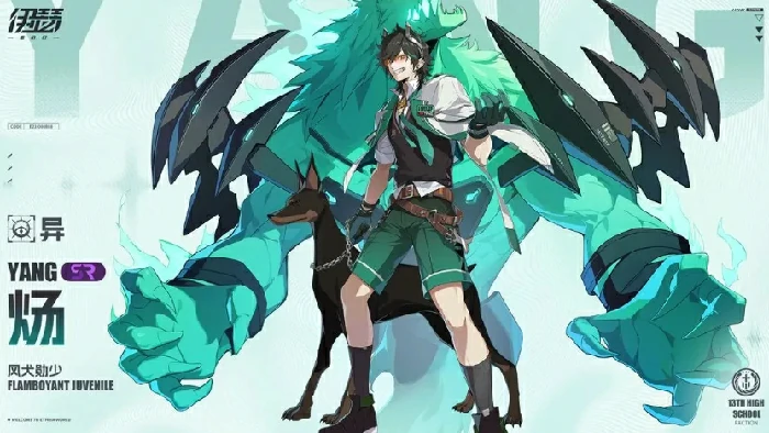 竞技场适用角色一览