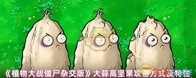 大蒜高坚果攻击方式及特性