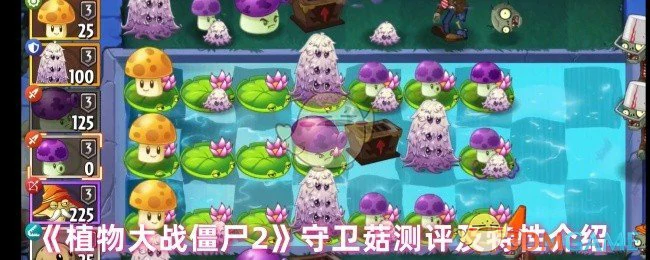 守卫菇测评及特性介绍