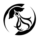 坎特蕾拉技能介绍