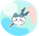 哈奇喵(普通)介绍