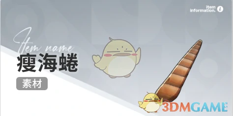 赶海收集物出现时间