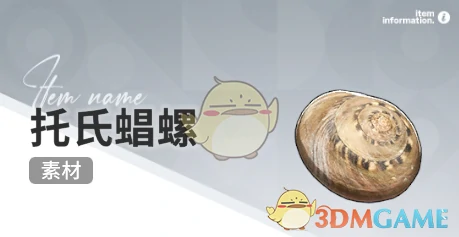 赶海收集物出现时间