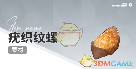 赶海收集物出现时间