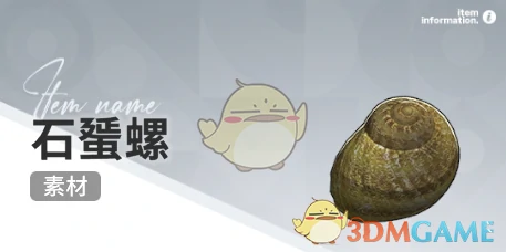 赶海收集物出现时间