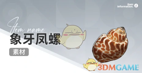 赶海收集物出现时间