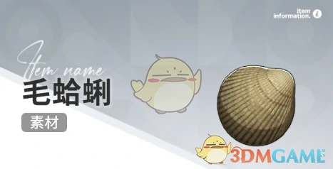 赶海收集物出现时间