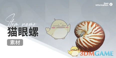 赶海收集物出现时间