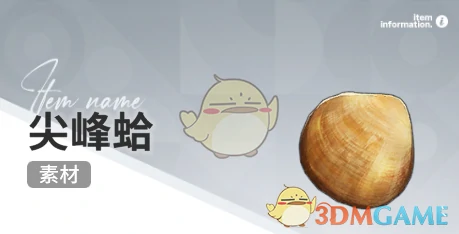 赶海收集物出现时间