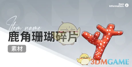 赶海收集物出现时间