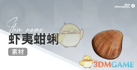 赶海收集物出现时间
