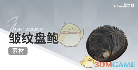 赶海收集物出现时间