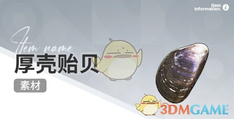 赶海收集物出现时间