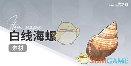 赶海收集物出现时间
