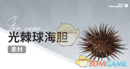 赶海收集物出现时间
