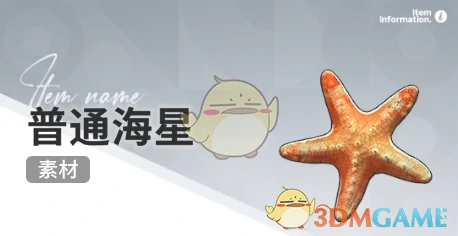 赶海收集物出现时间