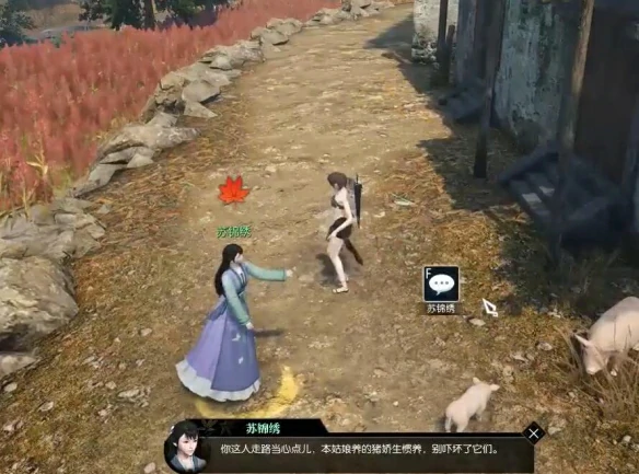 猪猪迷踪奇遇攻略