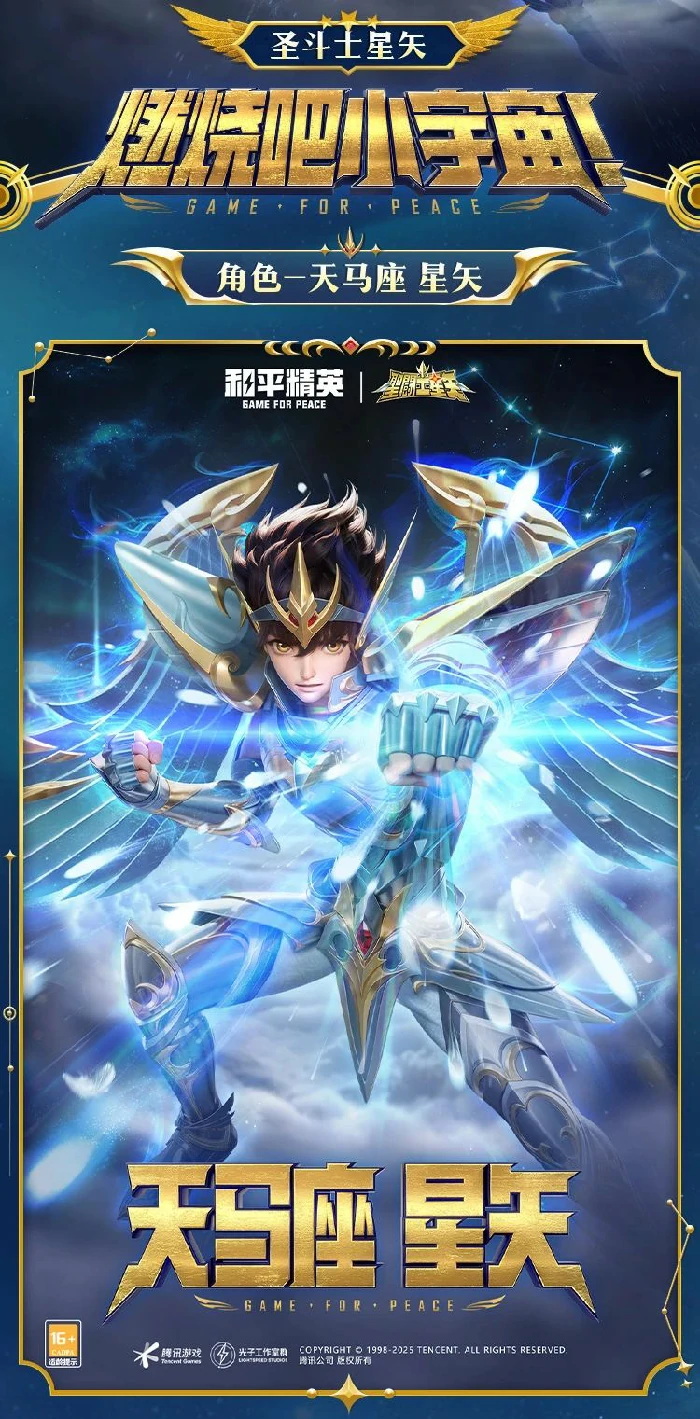 新套装 圣斗士星矢图鉴