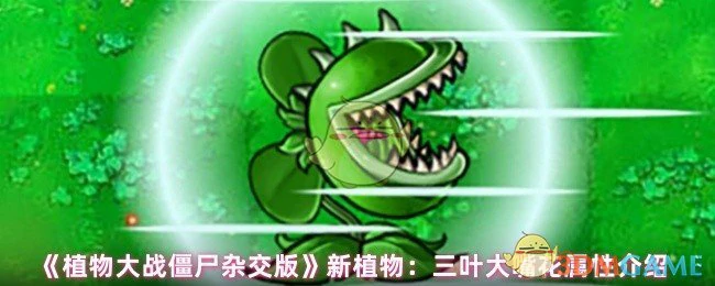 新植物：三叶大嘴花属性介绍