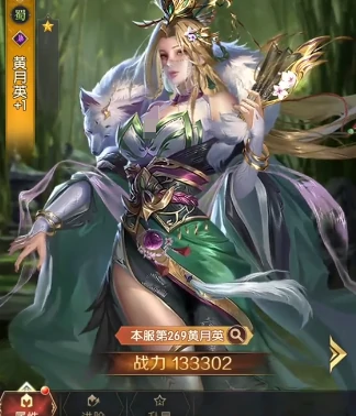 赵云搭配阵容攻略