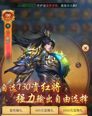 赵云搭配阵容攻略