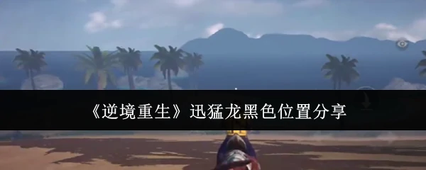 迅猛龙黑色位置分享
