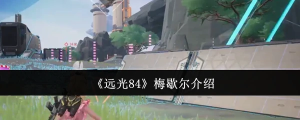 梅歇尔介绍