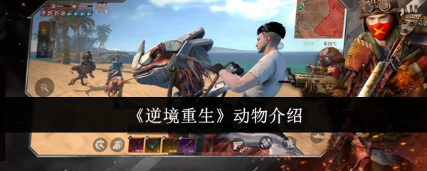 动物介绍