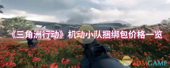 机动小队捆绑包价格一览