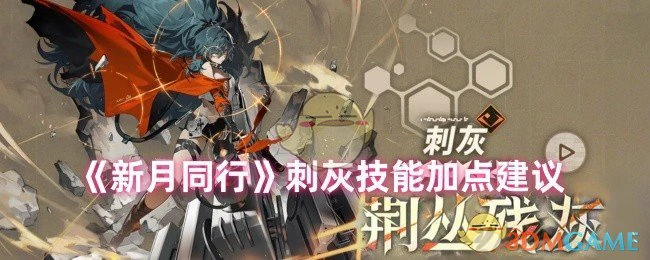 刺灰技能加点建议