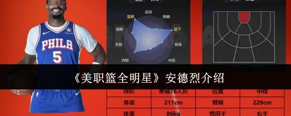 安德烈介绍