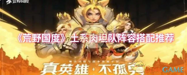 土系肉坦队阵容搭配推荐