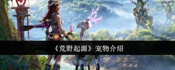 宠物介绍