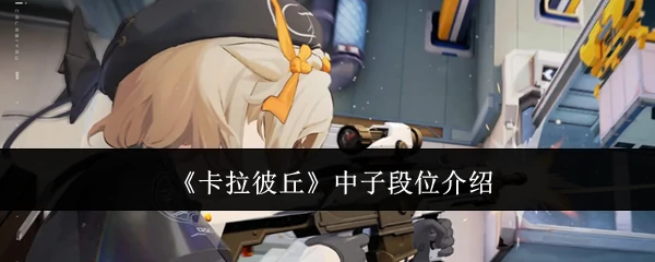 中子段位介绍