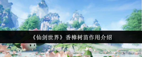 香樟树苗作用介绍