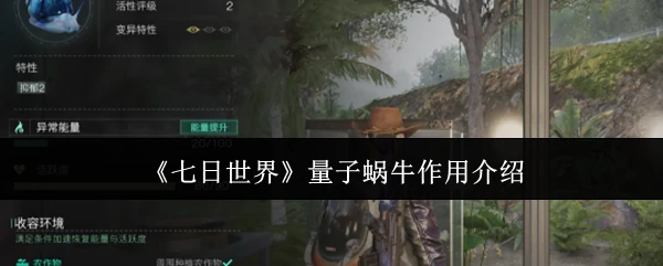 量子蜗牛作用介绍