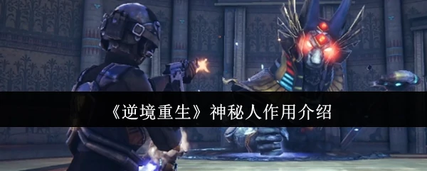 神秘人作用介绍