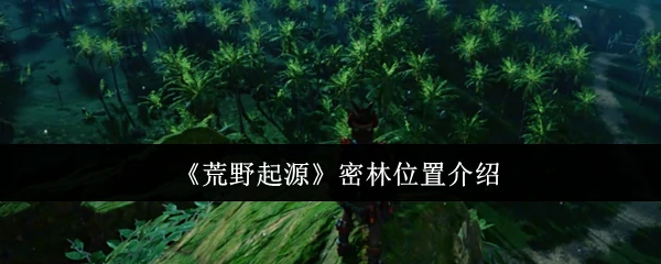密林位置介绍