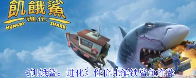 性价比解锁鲨鱼推荐