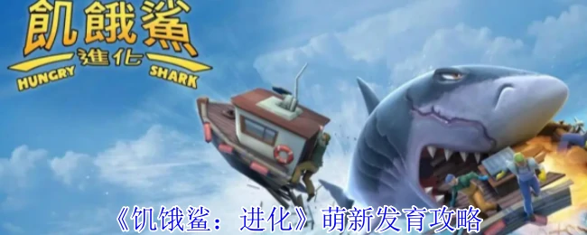 萌新发育攻略