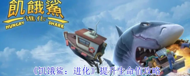 提升生命值攻略