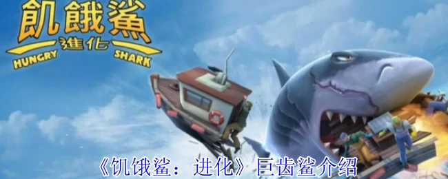 巨齿鲨介绍
