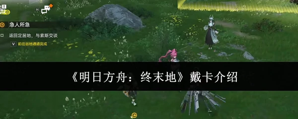 戴卡介绍