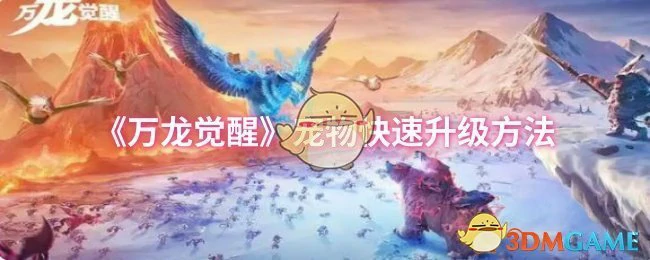 宠物快速升级方法