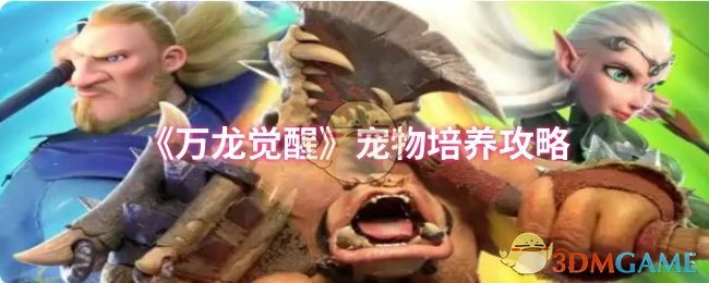 宠物培养攻略