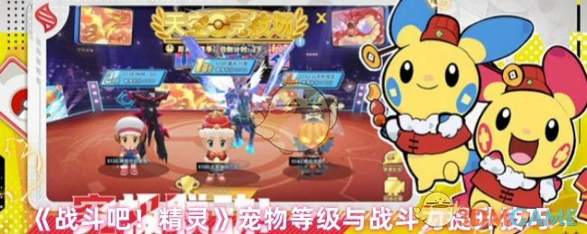 宠物等级与战斗力提升技巧