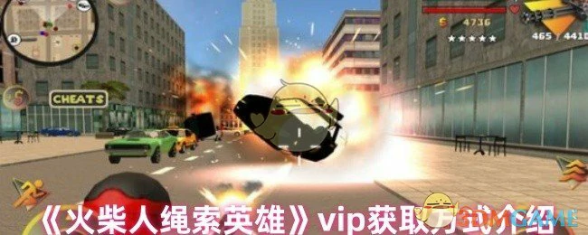 vip获取方式介绍